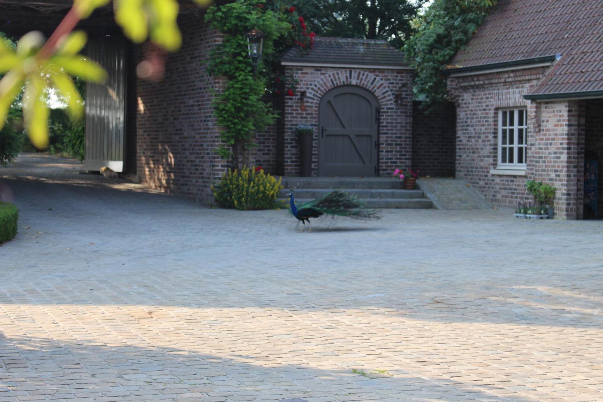 Imagine B&B Wortegem Exterior photo
