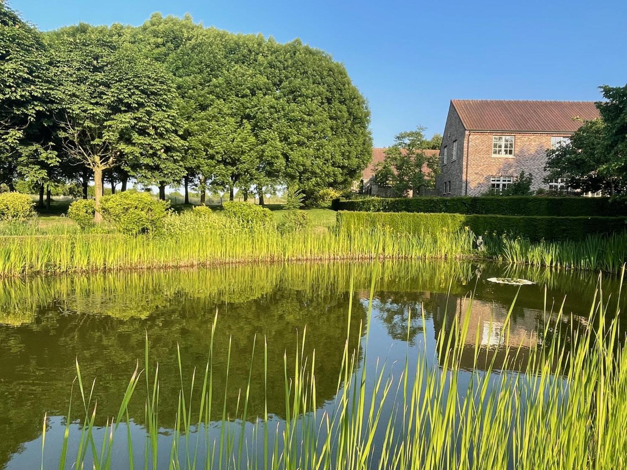 Imagine B&B Wortegem Exterior photo